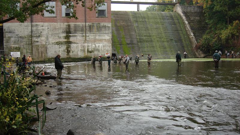Burt at the Dam.JPG